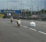 PIR_timetrial_group.jpg