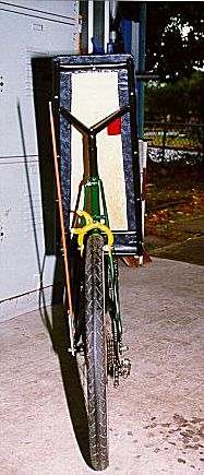 Back view