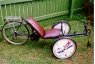 Small trike pic